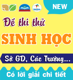 Đề thi thử THPTQG Sinh học